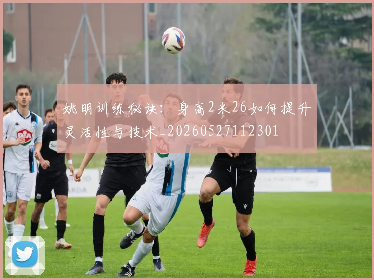 姚明训练秘诀:身高2米26如何提升灵活性与技术_20260527112301